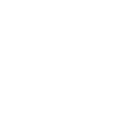 Motif